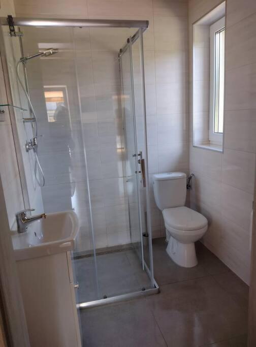 Apartamenty - Domek Bobrowe Zacisze 3 Janowice Wielkie Εξωτερικό φωτογραφία